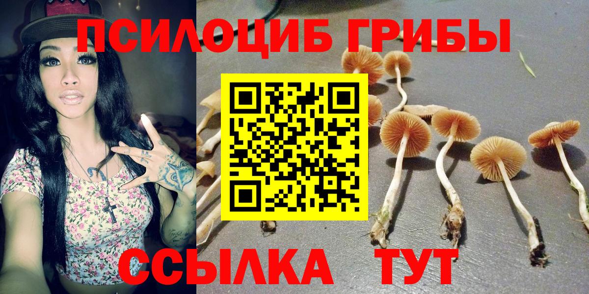 Галлюциногенные грибы Magic Shrooms  Псилоцибиновые грибы Psilocybe  Вход с VPN  Железногорск 