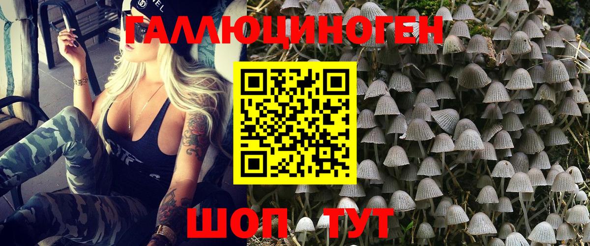 Псилоцибиновые грибы прущие грибы Железногорск